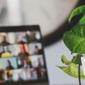 Why are Online Courses the Key to Your Professional Growth